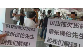 萨迦专业催债公司的市场需求和前景分析