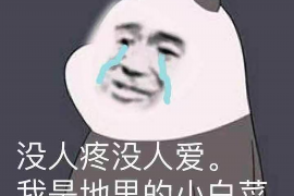 萨迦萨迦讨债公司服务